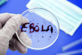 Лихорадка Эбола побеждена