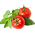 ТОП-10 продуктов для продления жизни: томаты