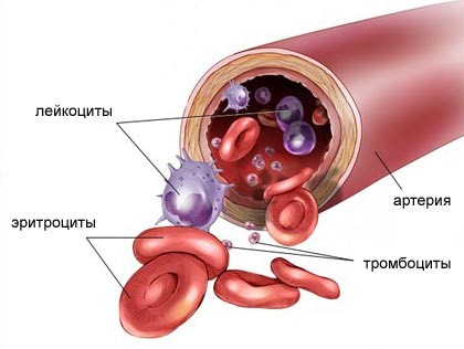 Заболевания крови; гематология